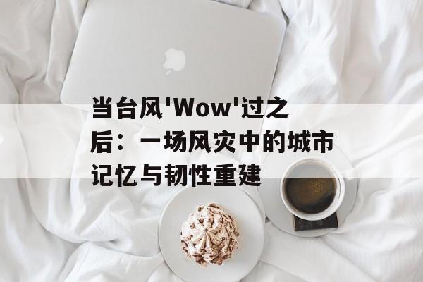 当台风'Wow'过之后：一场风灾中的城市记忆与韧性重建-第1张图片-