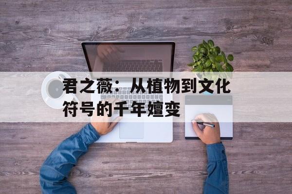 君之薇:从植物到文化符号的千年嬗变-第1张图片- 君之薇:从植物到文化符号的千年嬗变-第1张图片-