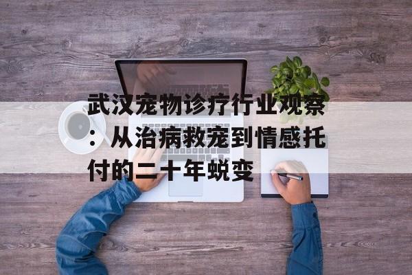 武汉宠物诊疗行业观察:从治病救宠到情感托付的二十年蜕变-第1张图片- 武汉宠物诊疗行业观察:从治病救宠到情感托付的二十年蜕变-第1张图片-
