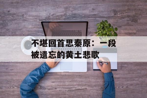 不堪回首思秦原:一段被遗忘的黄土悲歌-第1张图片- 不堪回首思秦原:一段被遗忘的黄土悲歌-第1张图片-