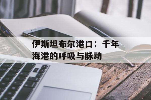 伊斯坦布尔港口：千年海港的呼吸与脉动-第1张图片-